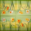 041 Daffodils,  Hyacinths,  Maiglöckchen, Crocus - yellow